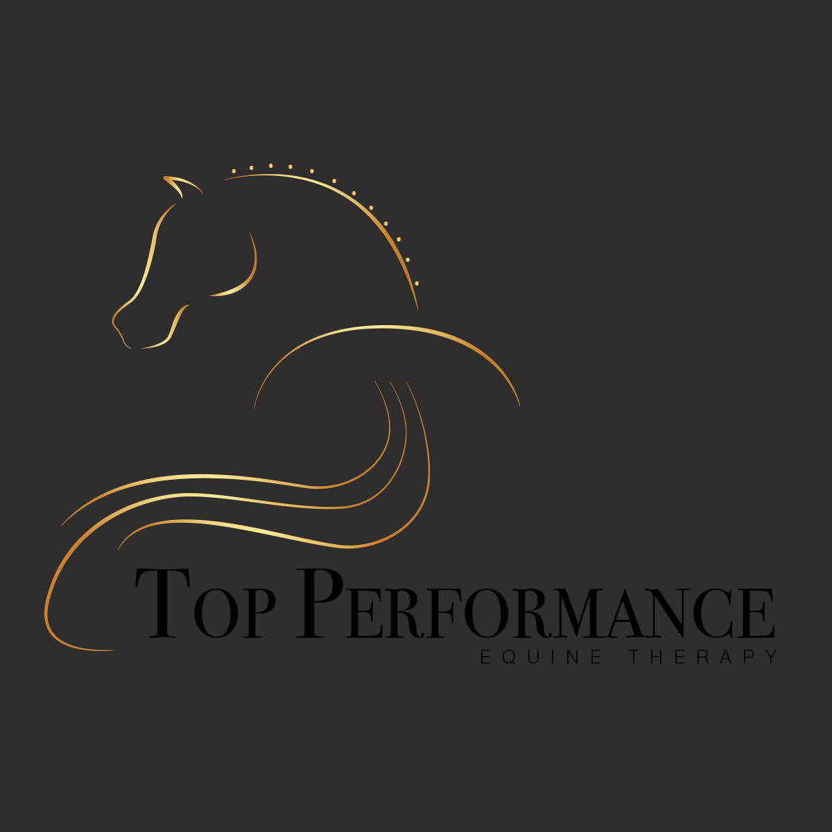 Logo para Top Performance